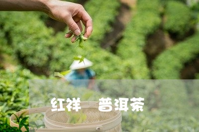 红祥 普洱茶/2023042797096